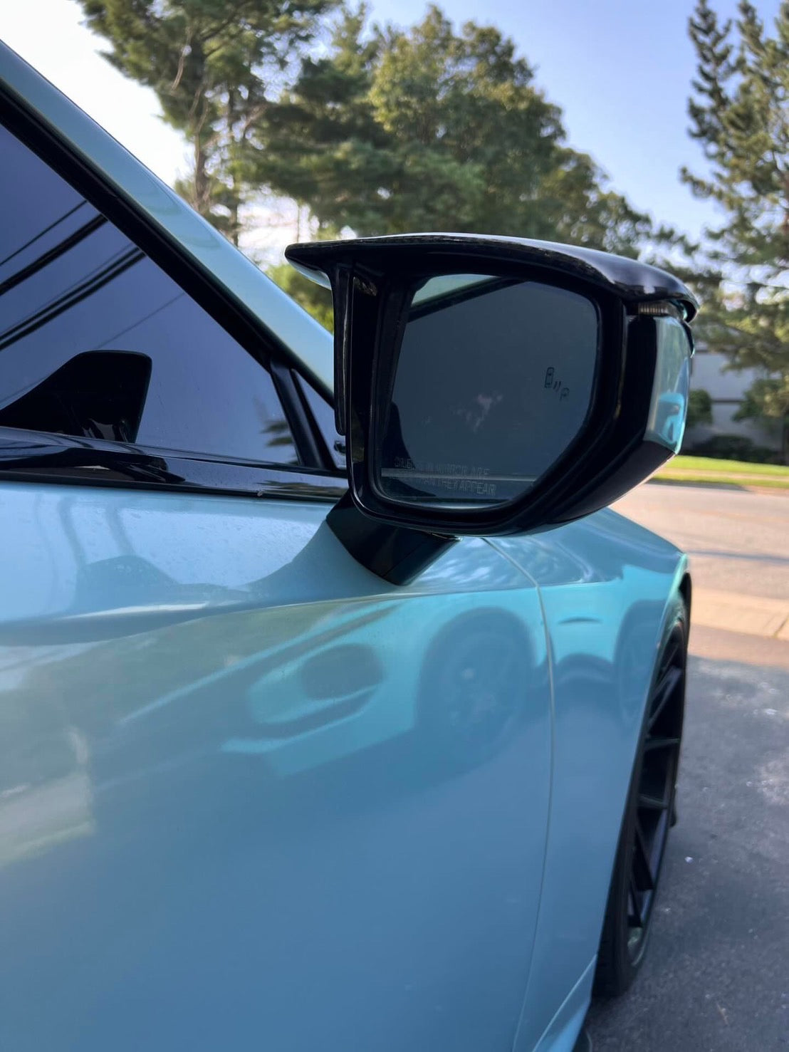 Lexus  Dry Carbon Mirror Cover (L/R) wing type